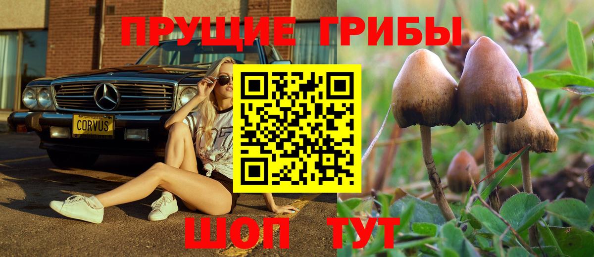 Псилоцибиновые грибы мицелий Красноуфимск